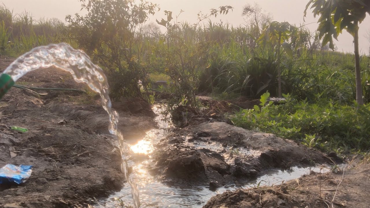 Hara-bhara Kal Apne bagiche ki dekh-bhaal.