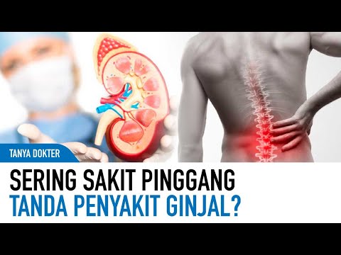 Video: Dimana letak nyeri alih dari ginjal?