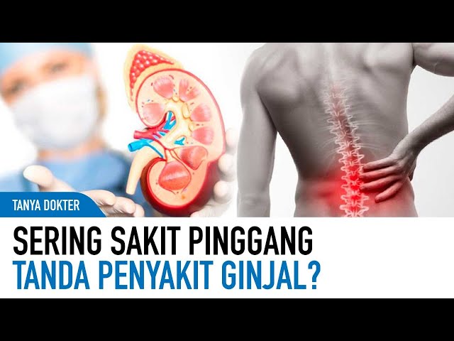 Benarkah Sering Sakit Pinggang Tanda Penyakit Ginjal? | Kata Dokter class=