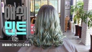 프로 염색 레시피 미엘 블론디앤 애쉬 민트 Mielle Blondie Anne Ash Mint