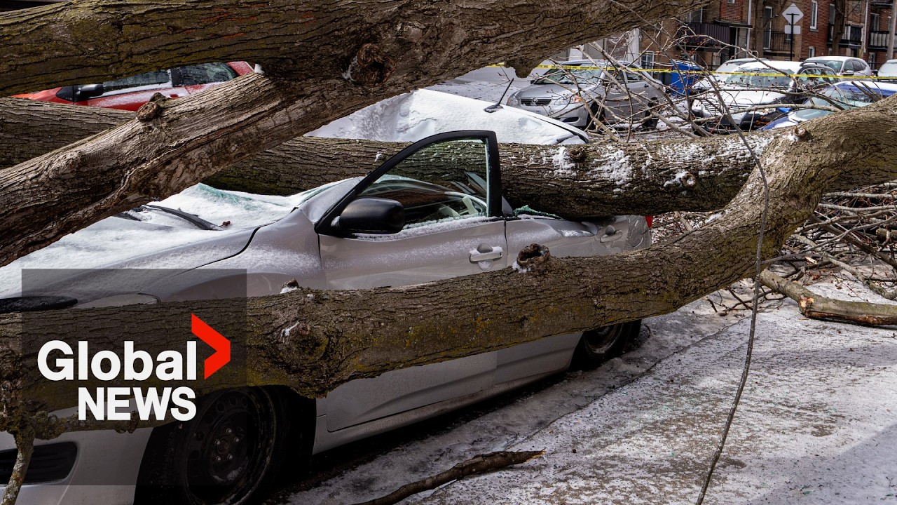 Quebec windstorm downs trees, leaves thousands without power - YouTube