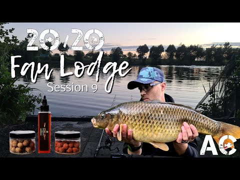 Fan Lodge | Session 9 | My 20/20 Capaign