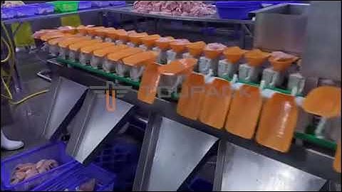 TOUPACK Rotary Weight sorting machine working on fishes packing