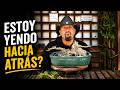 INVOLUCIONANDO? | Acacia de constantinopla 2026