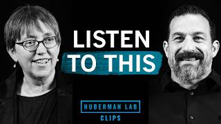 How To Improve Focus With Sound Dr. Jennifer Groh & Dr. Andrew Huberman