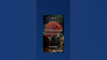 #اكسبلور قرانى  الخشوع سوره القيامه
