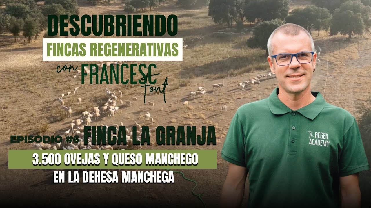 Episodio 6 - DESCUBRIENDO FINCAS REGENERATIVAS: FINCA LA GRANJA Queso Manchego