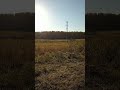 жара в Сибири