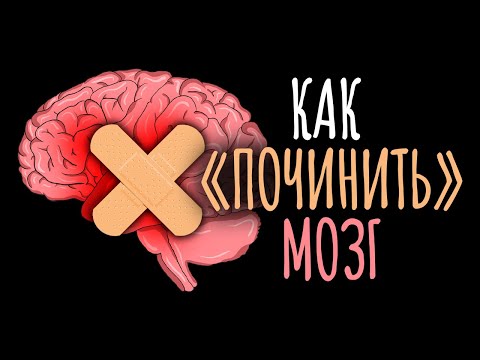 Как Вырастить Новые Нейроны И Как Мозг Сам Себя Лечит Тедсаммари