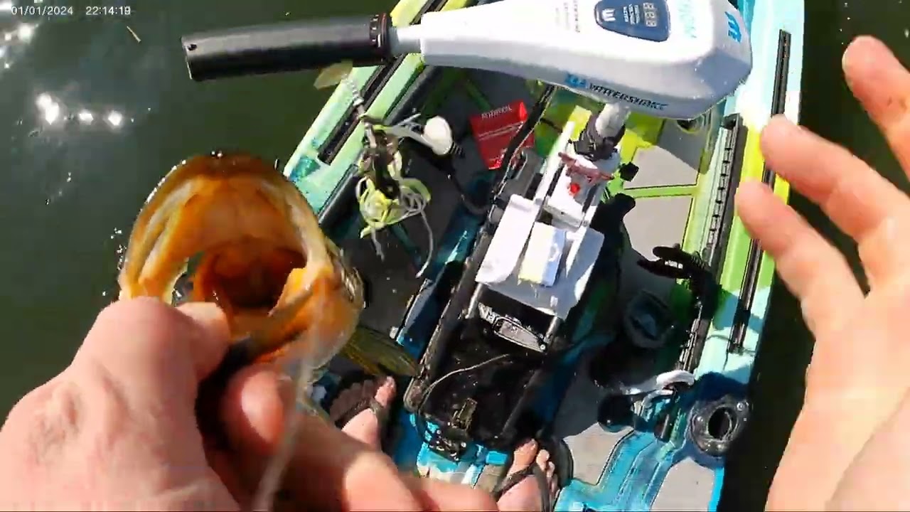 Johannesburg Bass Fishing