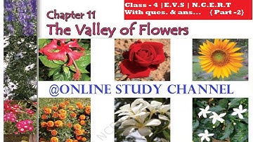 NCERT | Class 4 EVS | Chapter 11 | The Valley of Flowers  Part 2| हिंदी में