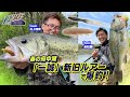 【ルアー合衆国】春の府中湖　「一誠」新旧ルアーで爆釣！