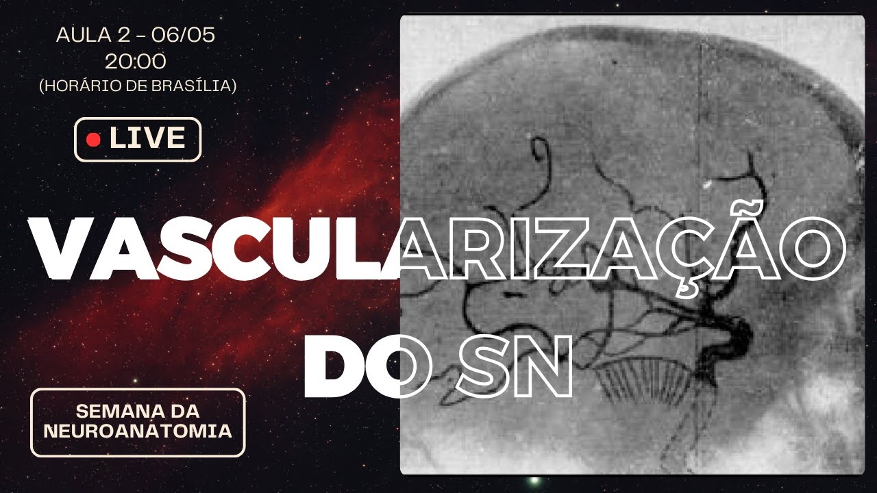 Vascularização do Sistema Nervoso