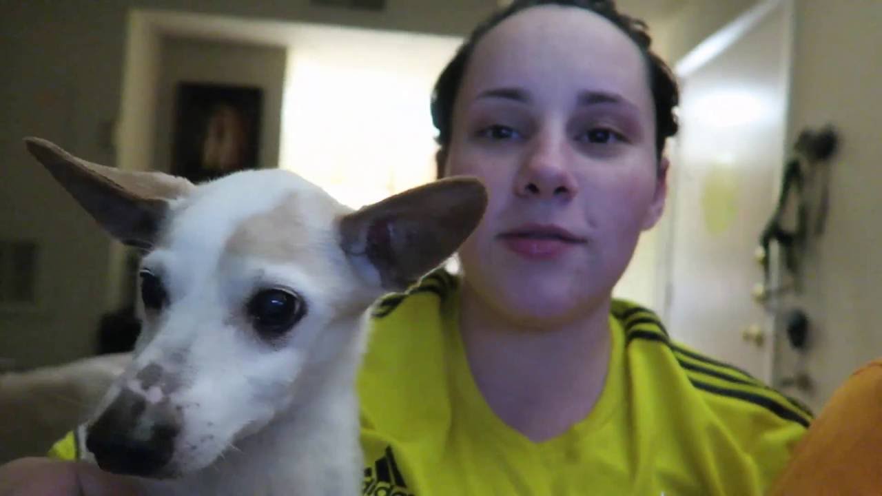 Weekly ob visit kabobs youtube