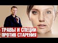 Как замедлить старение? Травы и специи для омоложения🧘‍♀️