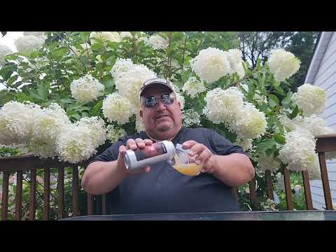 Third Moon Brewing Observation Tango IPA