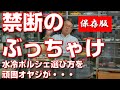 禁断のぶっちゃけ!水冷ポルシェの選び方を頑固オヤジが・・・