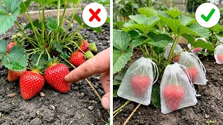 Grow Healthy Plants Fast with These Simple Tricks 🌱