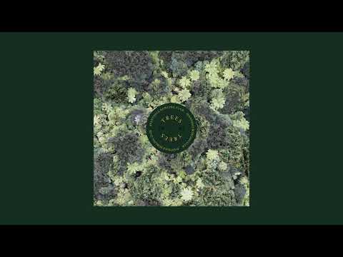 Avantdale Bowling Club - TREES (Full Album)