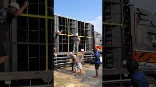 Simulasi Sbsw Java Pasific  soundsystem bassnationid soundhoreg