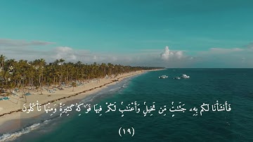 سورة المؤمنون-ايه1الي22--ياسر الزيلعي Surah Al-Mumenoon | Ayahs 1-22 [CINEMATIC VISUALS]