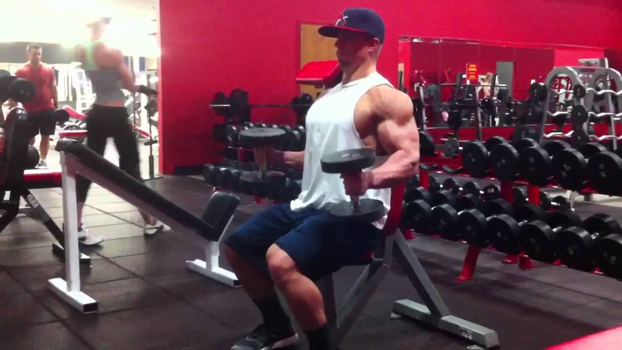 Seated Hammer Curls