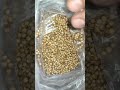 عشبة قوية جدا في جلب الحبيب وارجاع المطلقة وجعله من تحبه يحبك روحانيات اكسبلور عشبة قوية جدا في جلب الحبيب وارجاع المطلقة وجعله من تحبه يحبك روحانيات اكسبلور