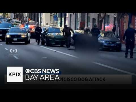 San Francisco Woman Fighting for her Life After Vicious Dog Attack in the Tenderloin