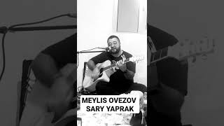 Meylis Ovezov Sary Yaprak