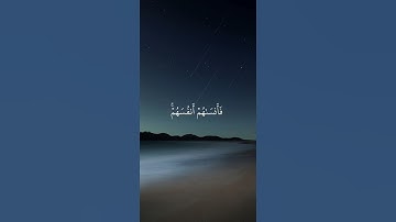سورة الحشر محمد صديق المنشاوي 🤍