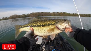 🔴 LIVE | Kayak Bass Fishing A Hidden Gem In Alabama | Part 1