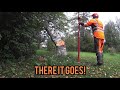Difficult Tree Felling With Stihl MS400 Chainsaw And Stalpen Tree Jack Difficult Tree Felling With Stihl MS400 Chainsaw And Stalpen Tree Jack