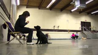 20140129 Moose Jaw No Dog Left Behind Master edit