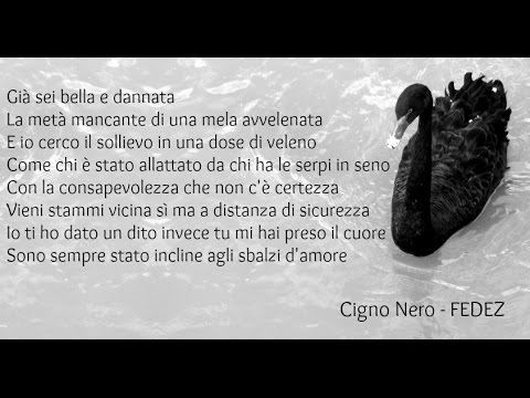SCARICARE TESTO CIGNO NERO