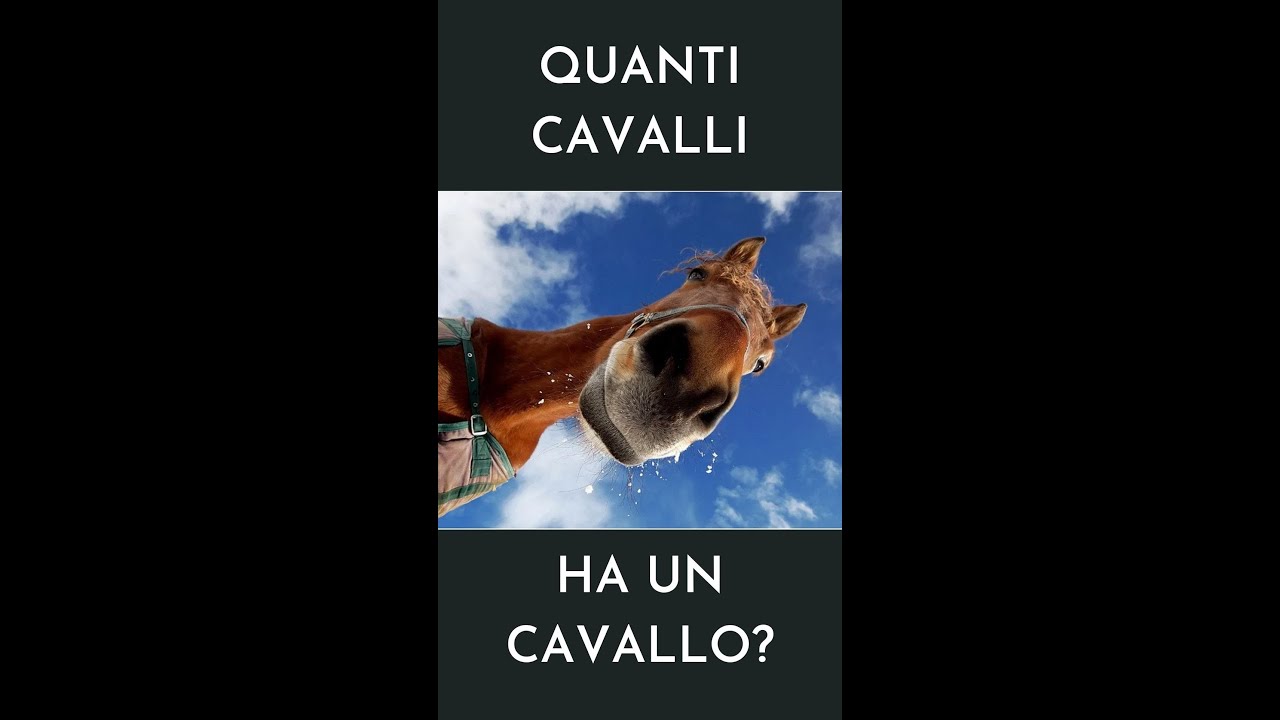 Quanti cavalli ha un cavallo? SHORTS YouTube