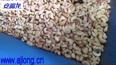 cashew color sorter  jasmine@ajlong.cn