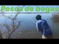 Pesca de bogas fray bentos  ro uruguay