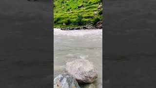 Serene Swat: A Glimpse of Kalam's Majestic River #adventure #explore #travel #nature #foryou #shorts