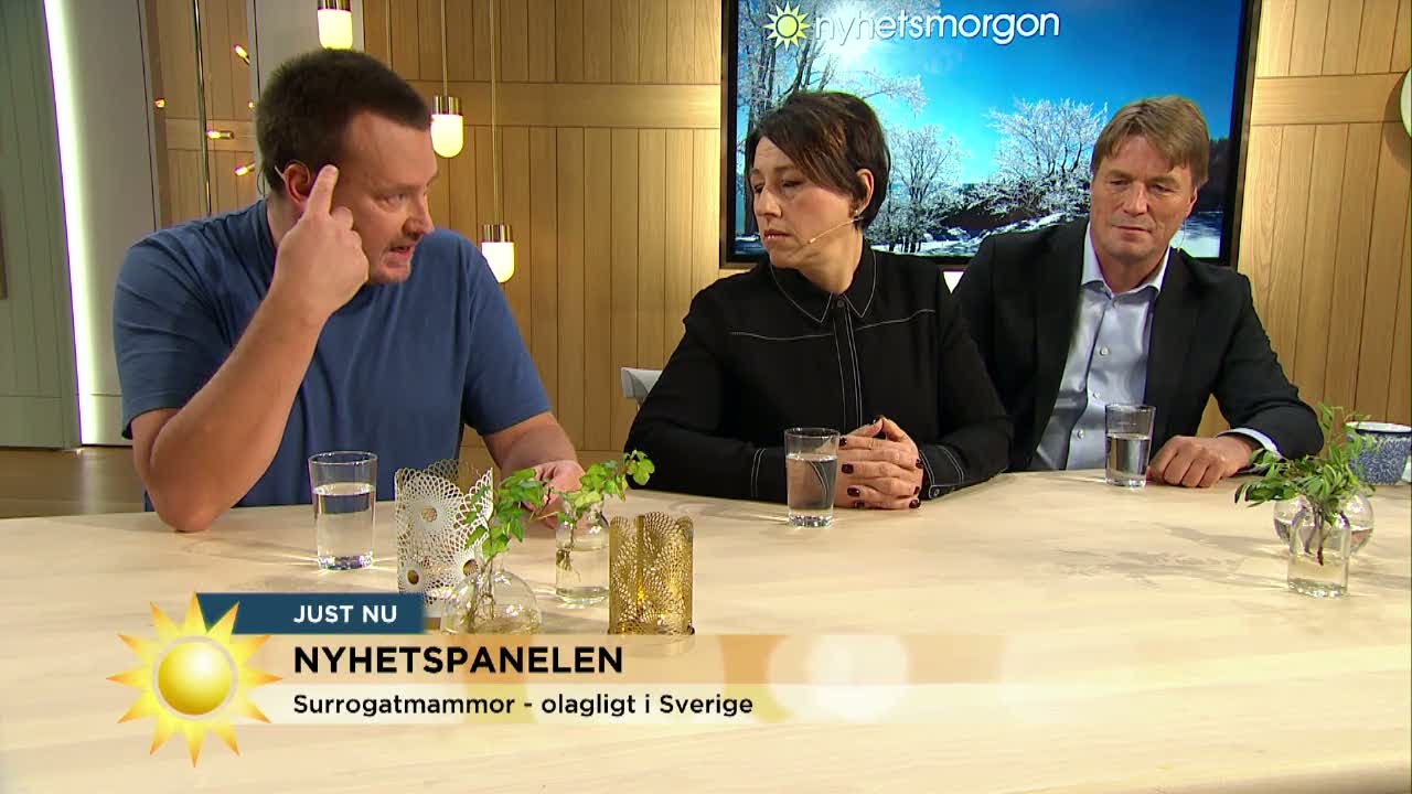 Tonen Hos Sd S Grasrotter Sager Mycket Om Partiet Nyhetsmorgon Tv4 By Nyhetsmorgon