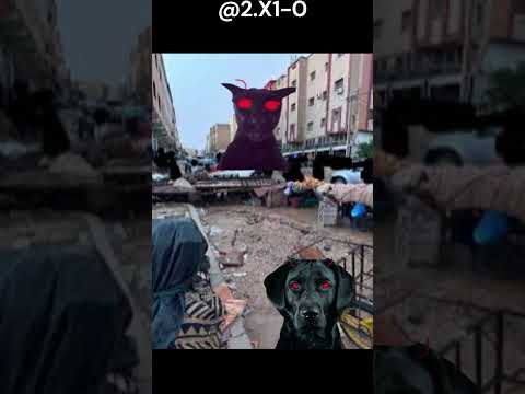 لآرك ضد لاري يا ترى من سيفوز 