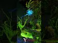 Did you know you could tame a titan this way?  #arksurvivalevolved #gamepass #pvp #xbox  #xboxone