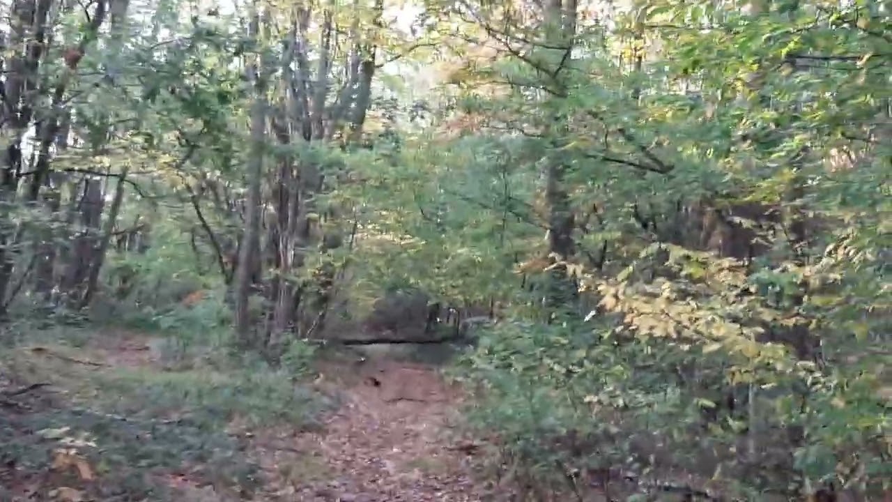 Thor Park Belgium 2019: A Blend of Nature, Innovation, and History 