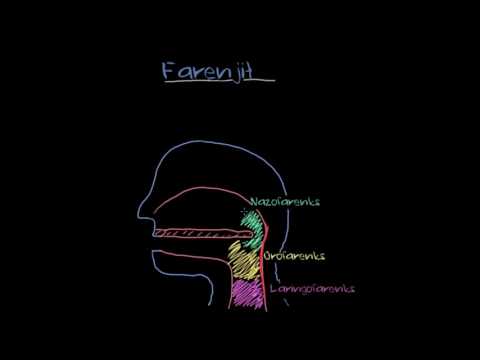 Farenjit (Fen Bilimleri) (Sağlık ve Tıp)