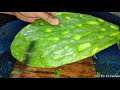 RICA COMIDA CON NOPALES EN MENOS DE 10 MINUTOS. Vivir en el campo.