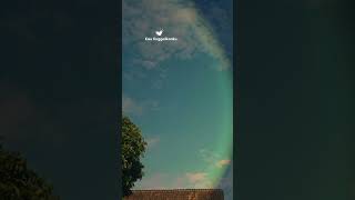 Ayang (Peluklah tubuhku kecup keningku)- Nabila Maharani #trending #storywa #liriklagu #viral #ayang