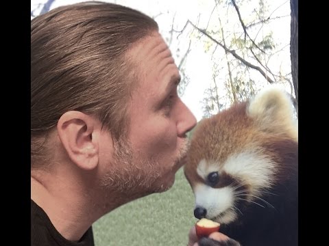vlogs in spanish I KISSED A RED PANDA AND I LIKED IT! | BRIAN BARCZYK