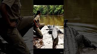 POV: Bir Timsahın Gözünden Nehir 🐊 #pov #belgesel #hayvanlar #animals #doğabelgeseli #timsah