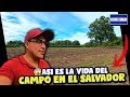 🌽Así es La Vida en El Campo🐄 *Fui por Fruta*🌽🍐