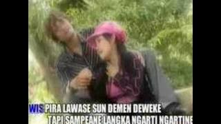 tarling duda maesan