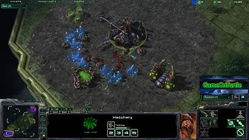 SC2 Beta - Turtle(Z) vs Zerg